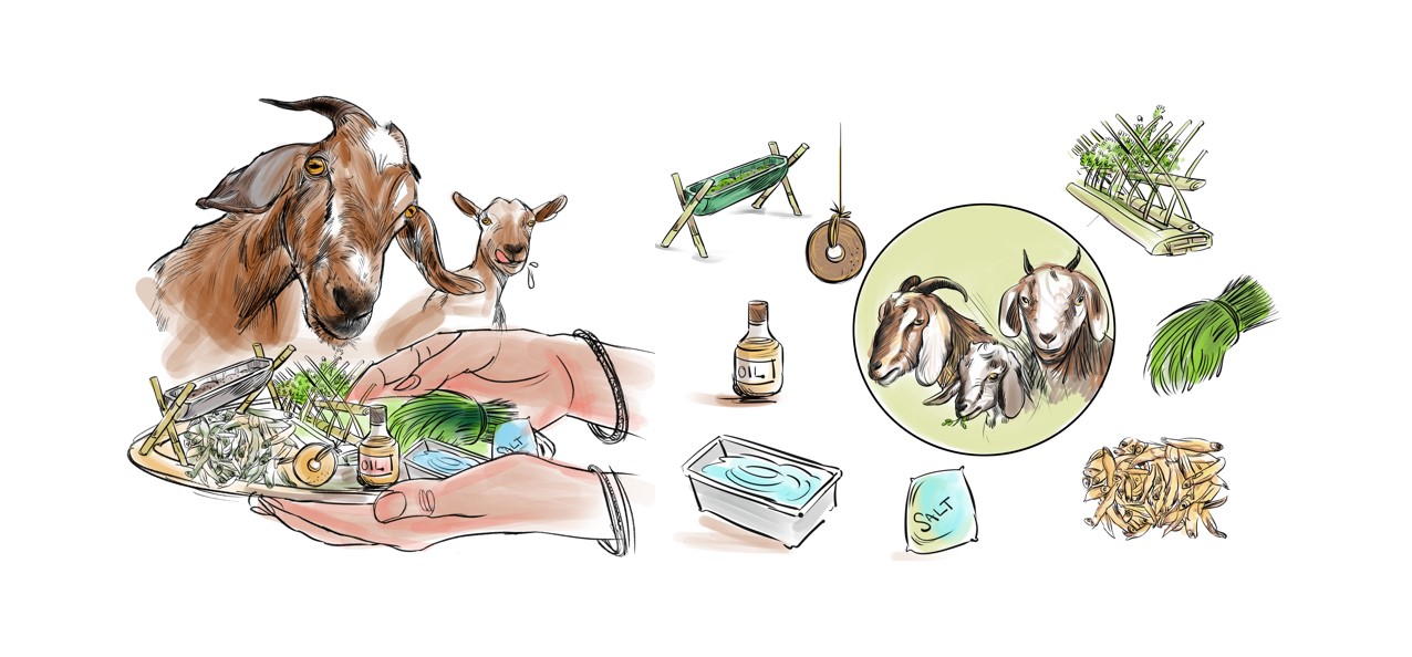 Balanced nutrition and feeding