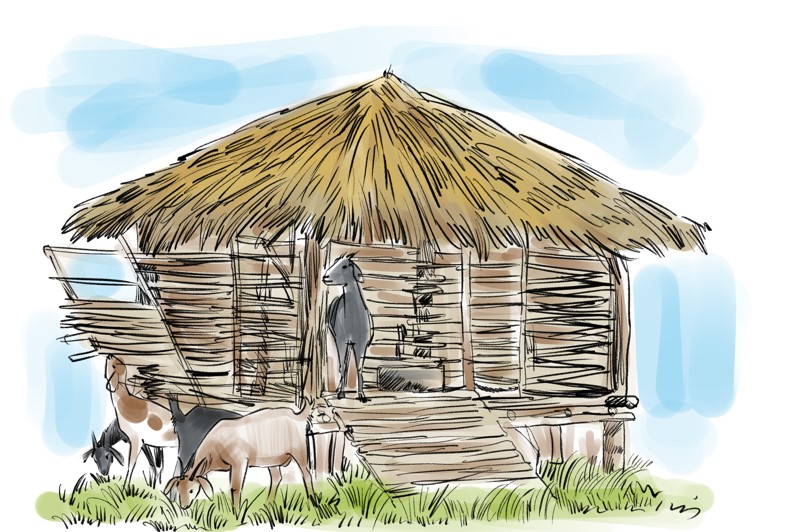 Low cost goat housing