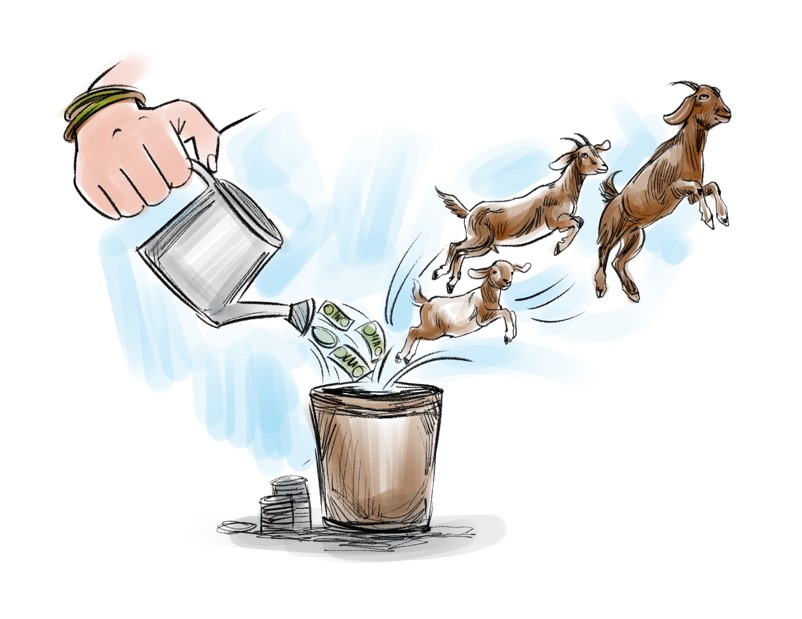 Low investment farming