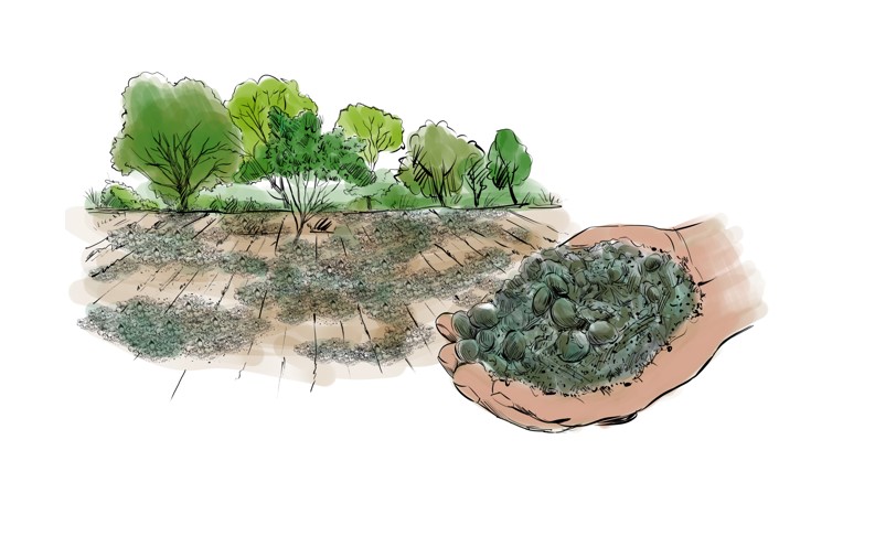 Goat manure for soil