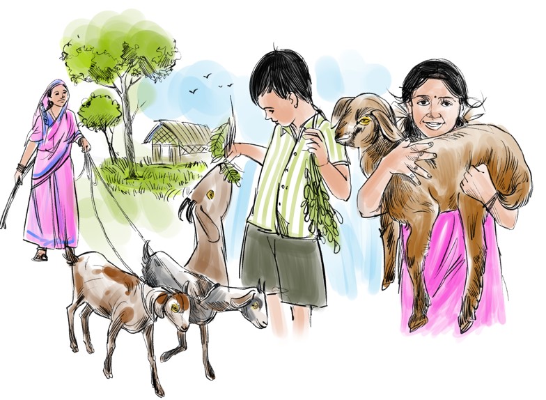 Women managing goats