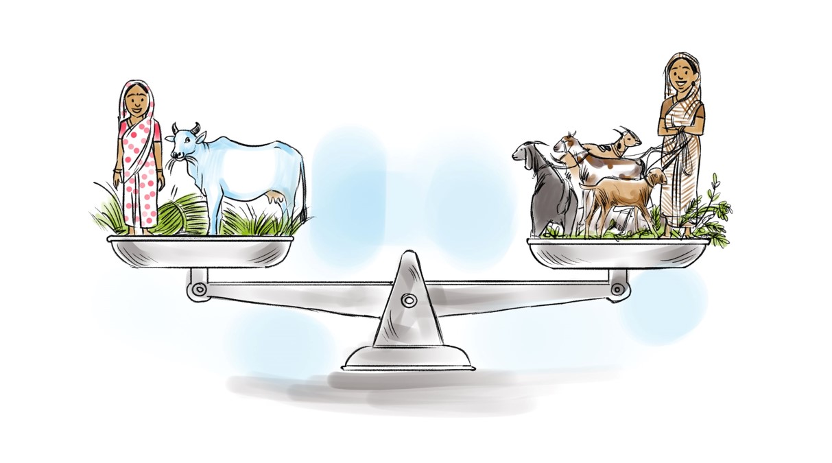 Dairy farming illustration