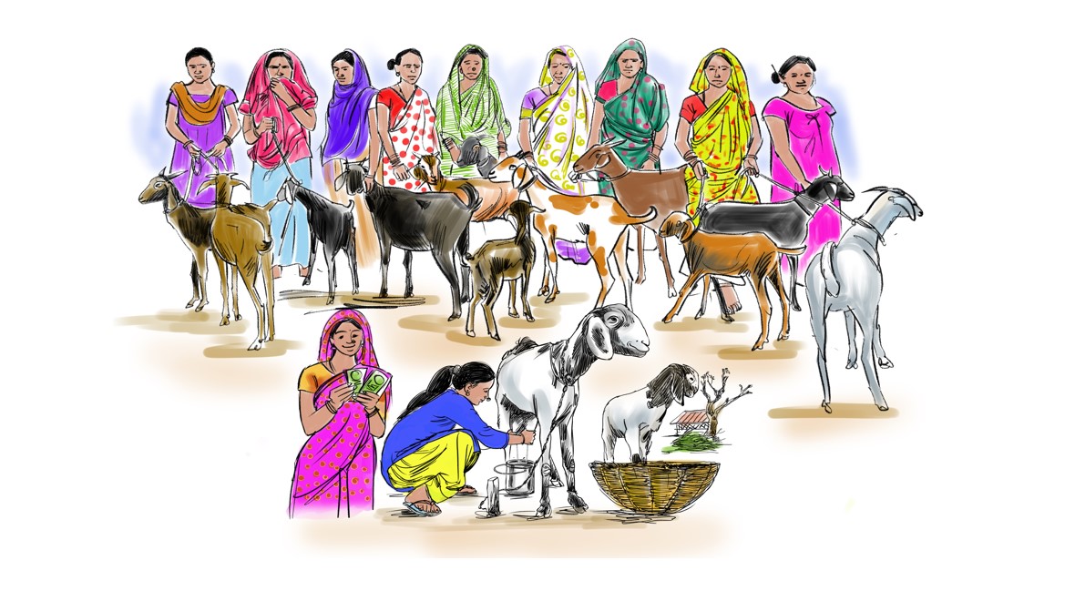 Meat production
