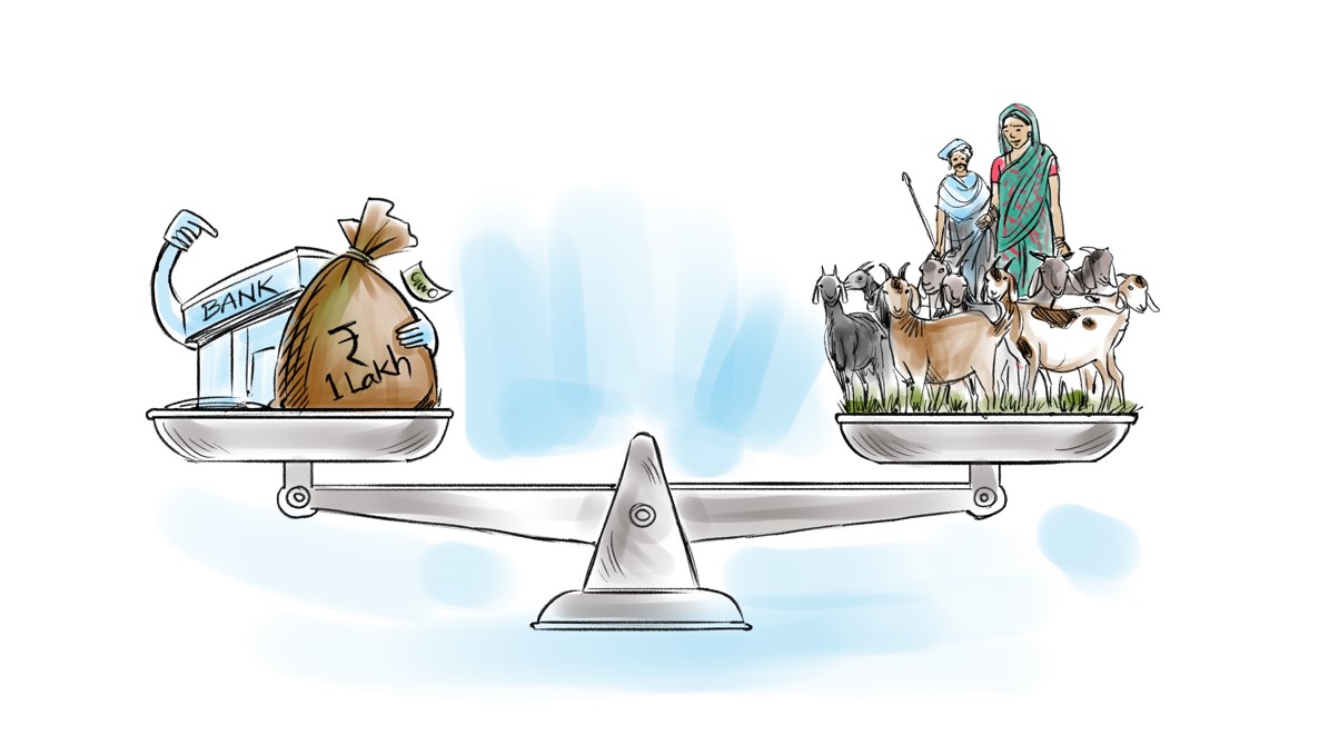 Goat farming illustration