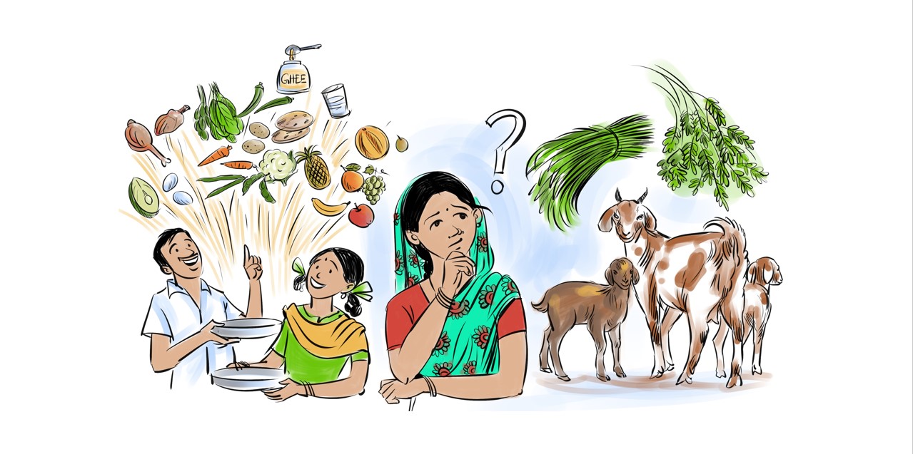 ଛେଳି ପାଳନ