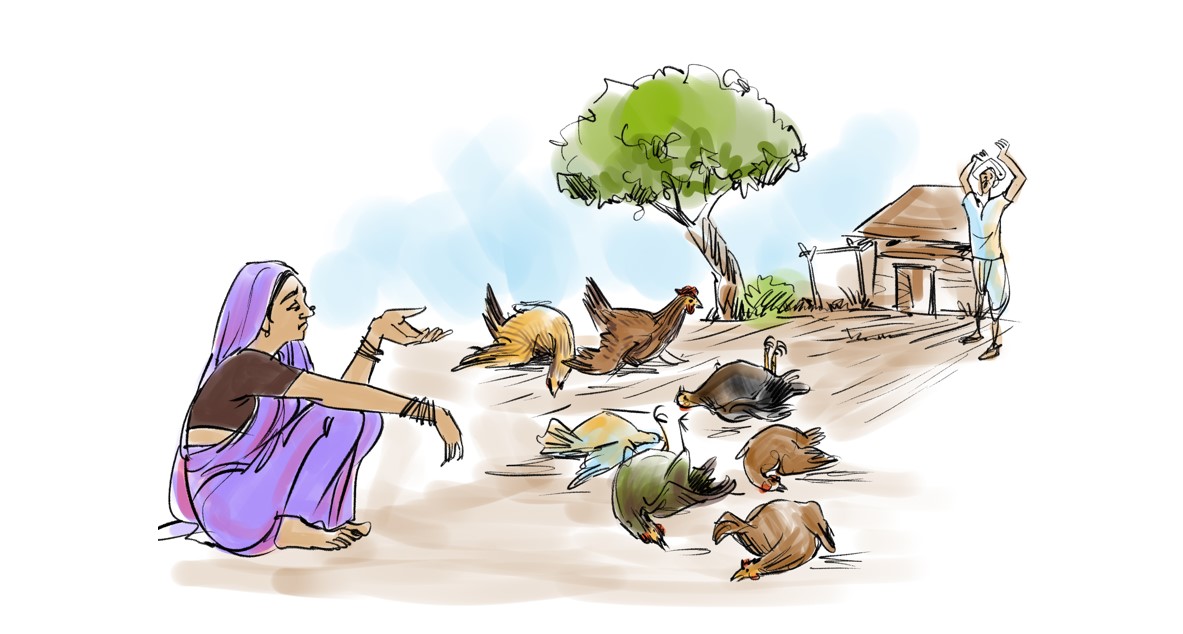 Poultry farming illustration