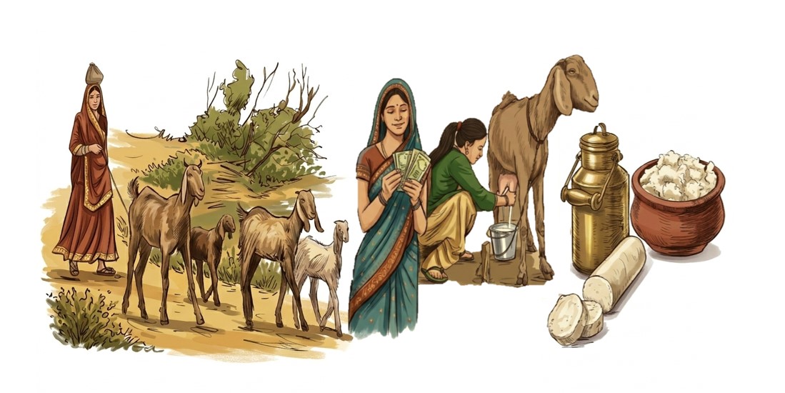 Purpose of Goat Farming