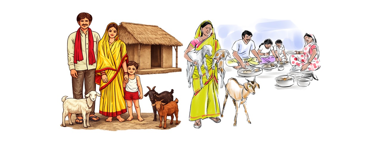 Milk production