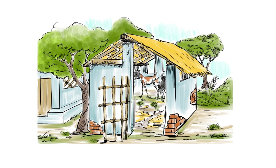 Women managing goats