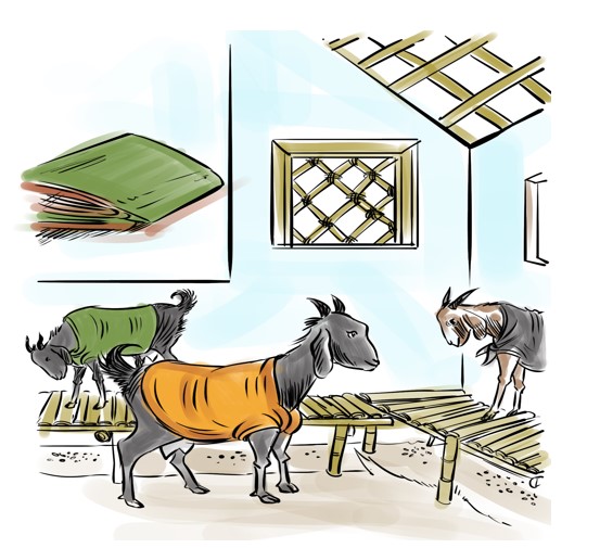 Goat milk production